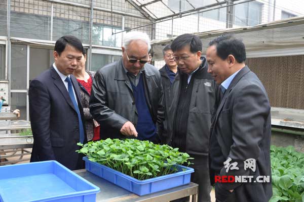 长沙杀虫剂,长沙光气衍生物,长沙氨基酸保护剂,长沙锂离子电池材料 长沙杀虫剂,长沙光气衍生物,长沙氨基酸保护剂,长沙锂离子电池材料