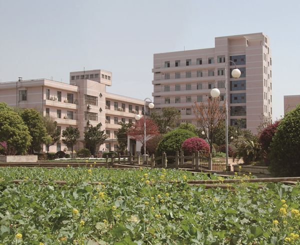 老虎机娱乐城
,长沙杀虫剂,长沙光气衍生物,长沙氨基酸保护剂,长沙锂离子电池材料