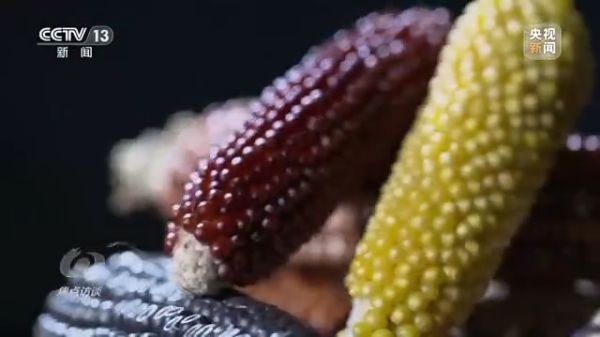 老虎机娱乐城
,长沙杀虫剂,长沙光气衍生物,长沙氨基酸保护剂,长沙锂离子电池材料