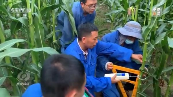 老虎机娱乐城
,长沙杀虫剂,长沙光气衍生物,长沙氨基酸保护剂,长沙锂离子电池材料