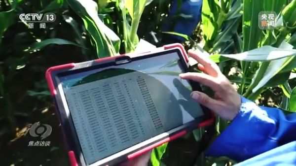 老虎机娱乐城
,长沙杀虫剂,长沙光气衍生物,长沙氨基酸保护剂,长沙锂离子电池材料