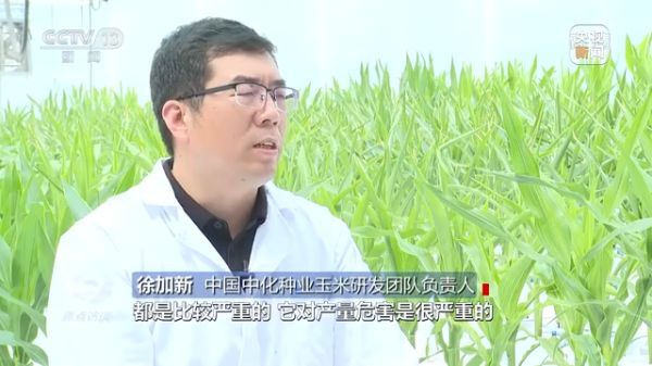 老虎机娱乐城
,长沙杀虫剂,长沙光气衍生物,长沙氨基酸保护剂,长沙锂离子电池材料