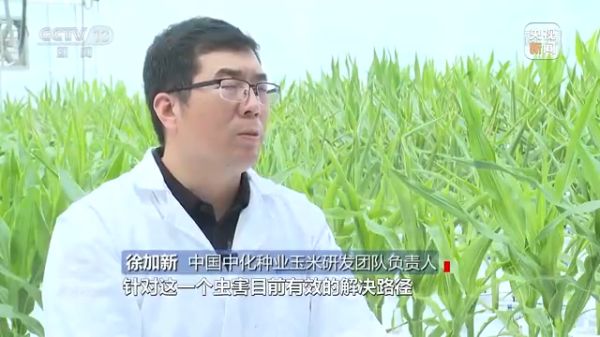 老虎机娱乐城
,长沙杀虫剂,长沙光气衍生物,长沙氨基酸保护剂,长沙锂离子电池材料