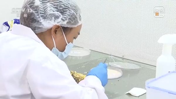 老虎机娱乐城
,长沙杀虫剂,长沙光气衍生物,长沙氨基酸保护剂,长沙锂离子电池材料