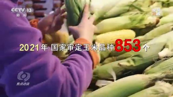 老虎机娱乐城
,长沙杀虫剂,长沙光气衍生物,长沙氨基酸保护剂,长沙锂离子电池材料